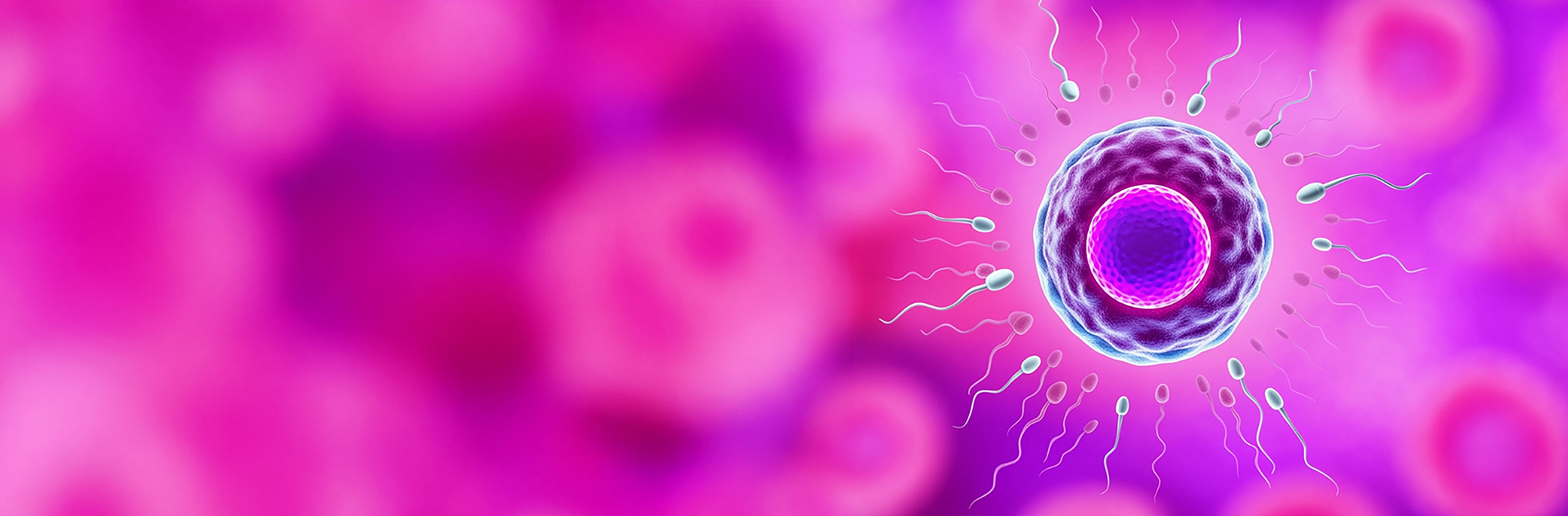 In vitro fertilization (IVF/ICSI)