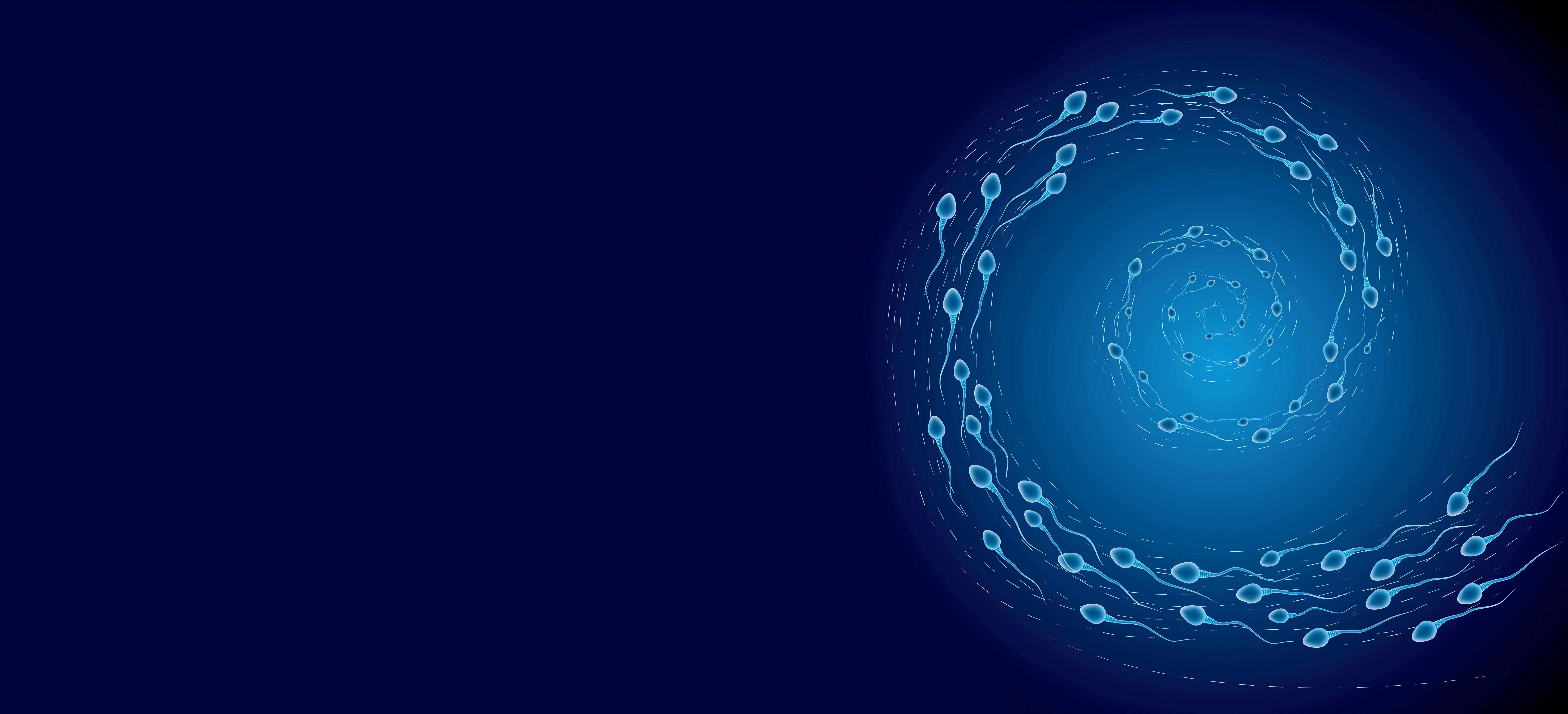 Sperm separation by density gradients