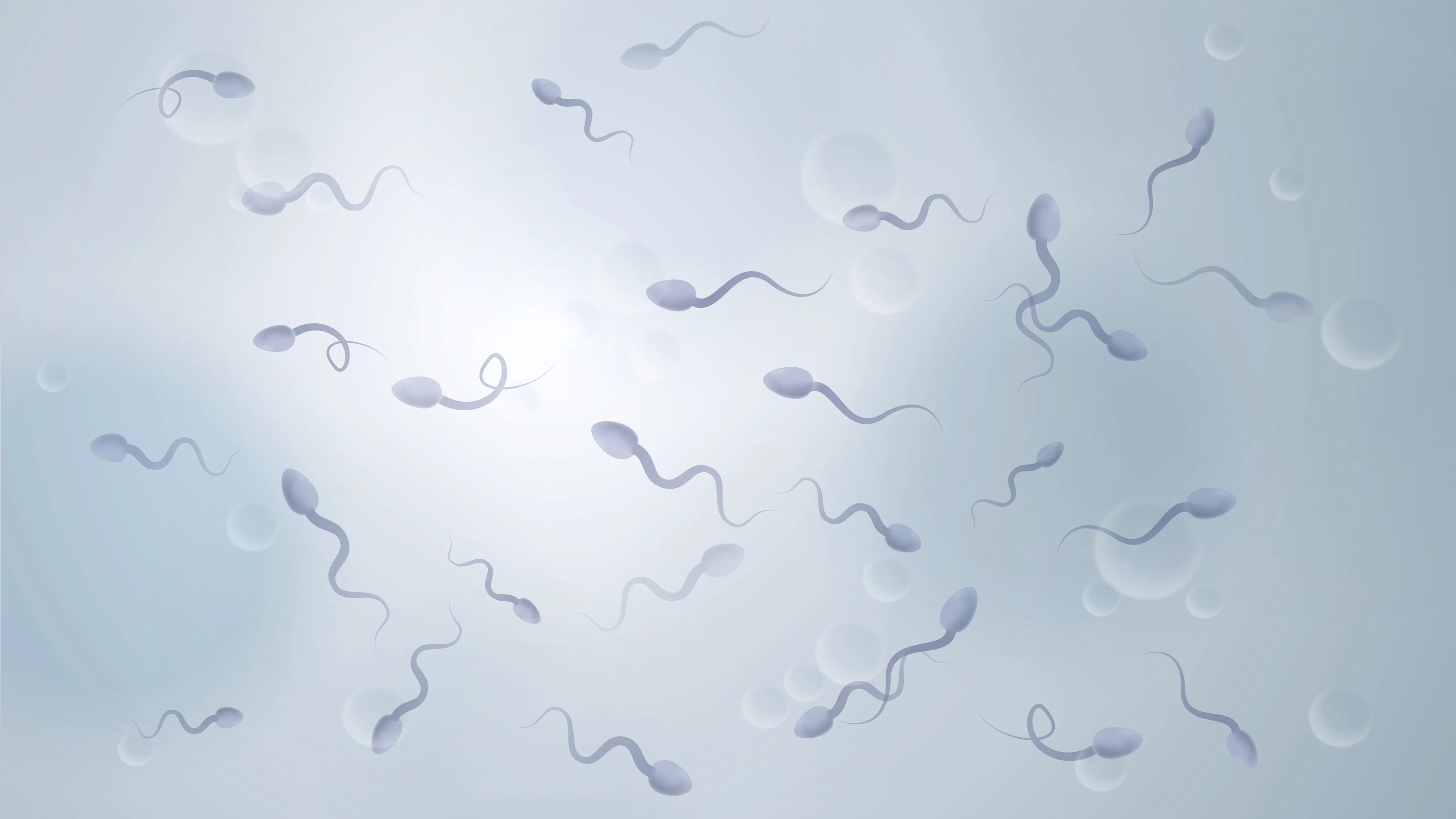 Testicular biopsy (TESE)